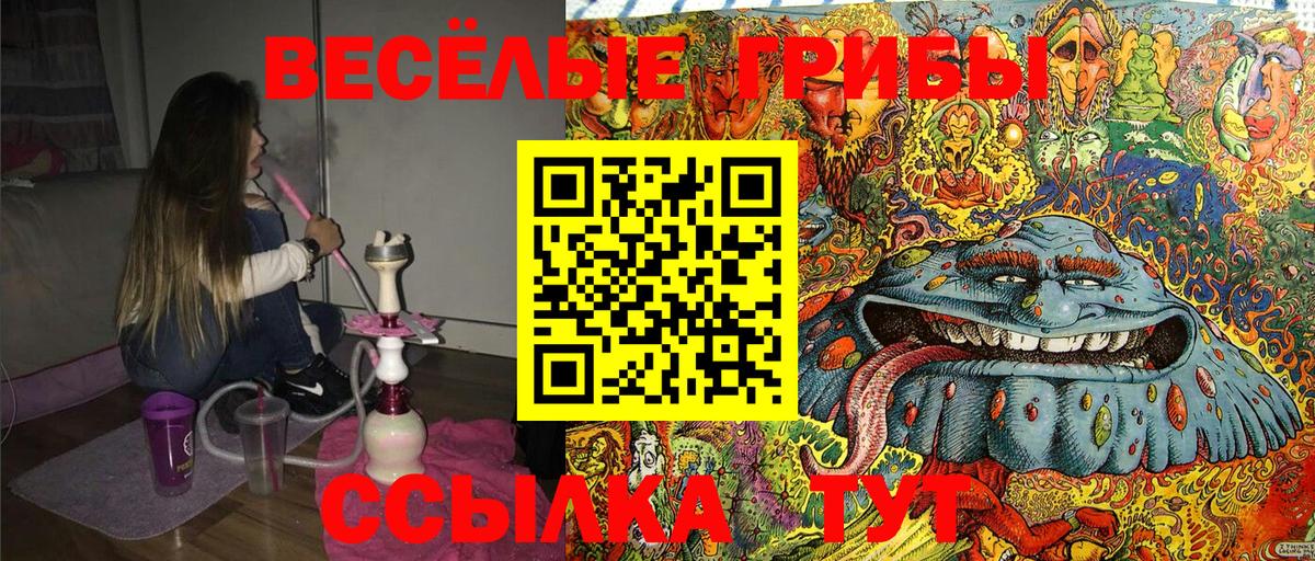 Галлюциногенные грибы Cubensis Кумертау