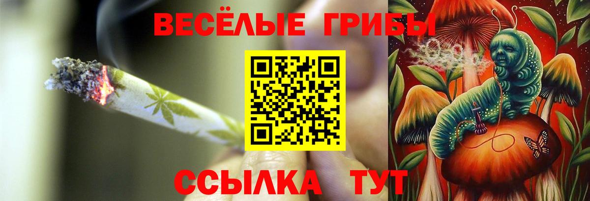 Галлюциногенные грибы GOLDEN TEACHER  Вход с VPN  где найти   Галлюциногенные грибы Magic Shrooms  Кумертау 